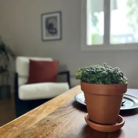 Kaunis Keskellae Vuokattia Vuokatti